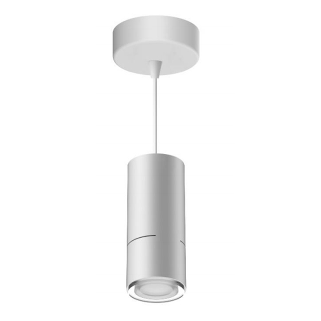 Led Down Light #DZ7001R- FG12W