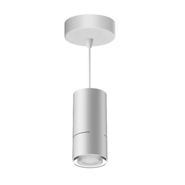 Led Down Light #DZ7001R- FG20W