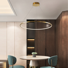 LED Pendant Light #DD-150