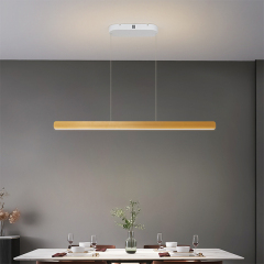 LED Pendant Light #DD-154