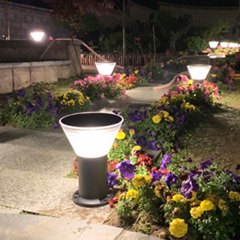 LED Solar light-CP-03