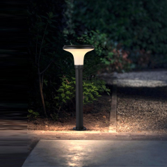 LED Solar light-CP-04