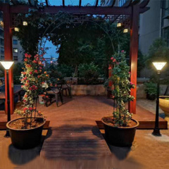 LED Solar light-GGD-4505