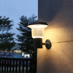 LED Solar light-BD-1104