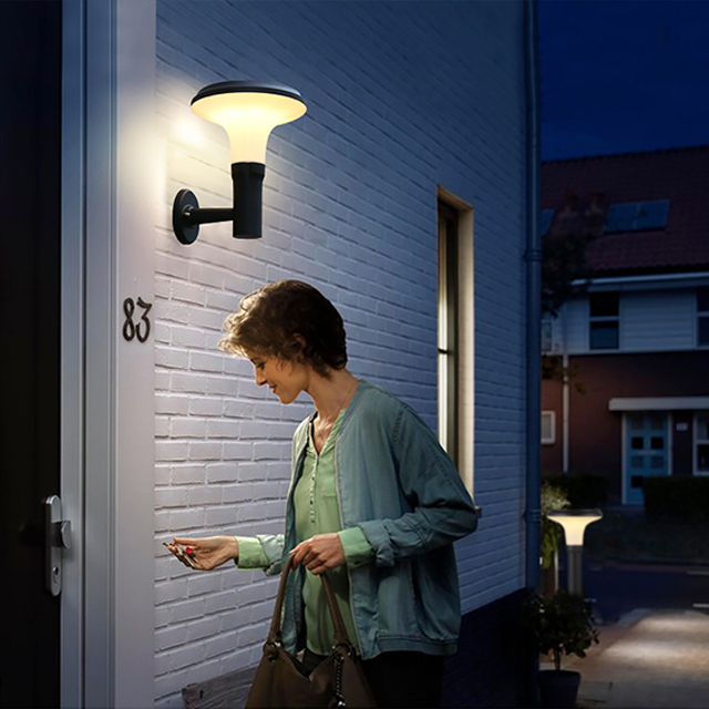 LED Solar light-BD-1004