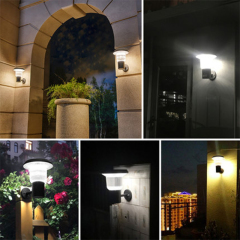 LED Solar light-BD-1104