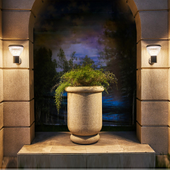 LED Solar light-BD-4001