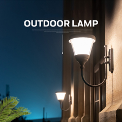 LED Solar light-BD-2106