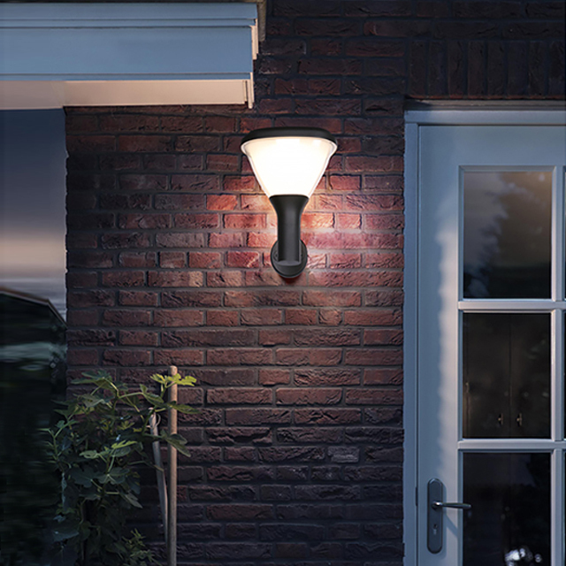 LED Solar light-BD-2104