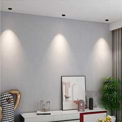 LED Down light #TD-006