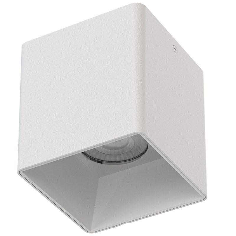 Waterproof Surface-Mounted Downlight