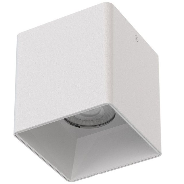 Waterproof Surface-Mounted Downlight