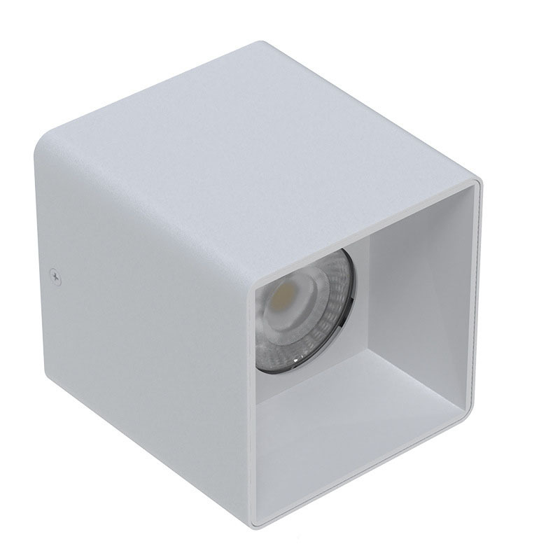 Waterproof Surface-Mounted Downlight
