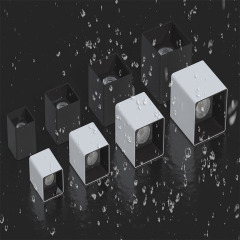 Waterproof Surface-Mounted Downlight