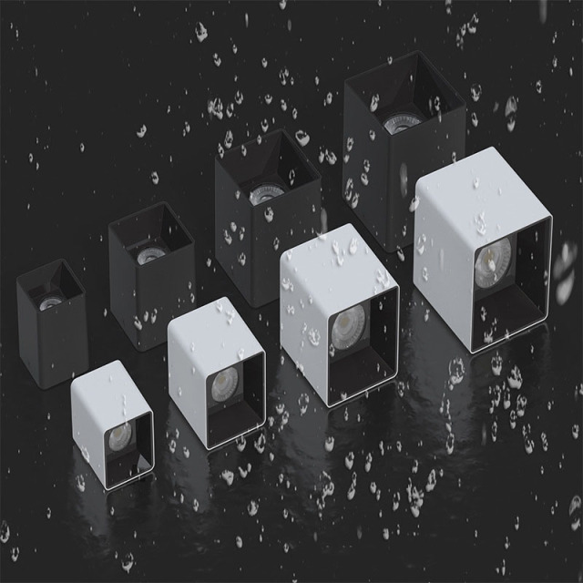 Waterproof Surface-Mounted Downlight