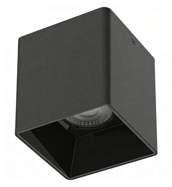 Waterproof Surface-Mounted Downlight