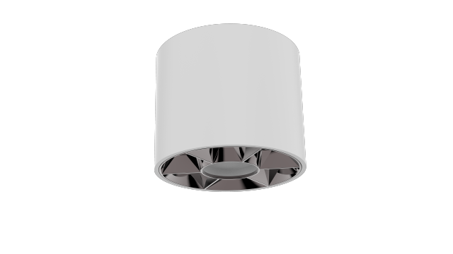 Champion (Surface-Mounted) Downlight