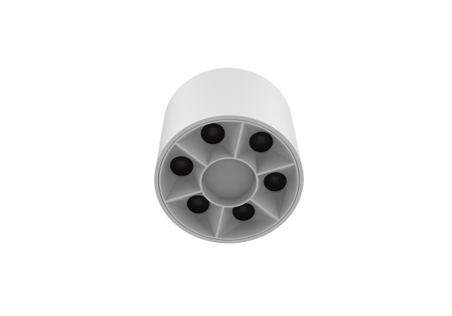 Champion (Surface-Mounted) Downlight