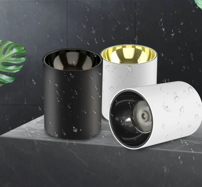 Waterproof Round Surface-Mounted Downlight