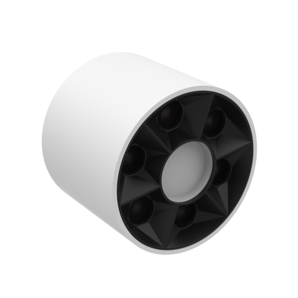 Champion (Surface-Mounted) Downlight