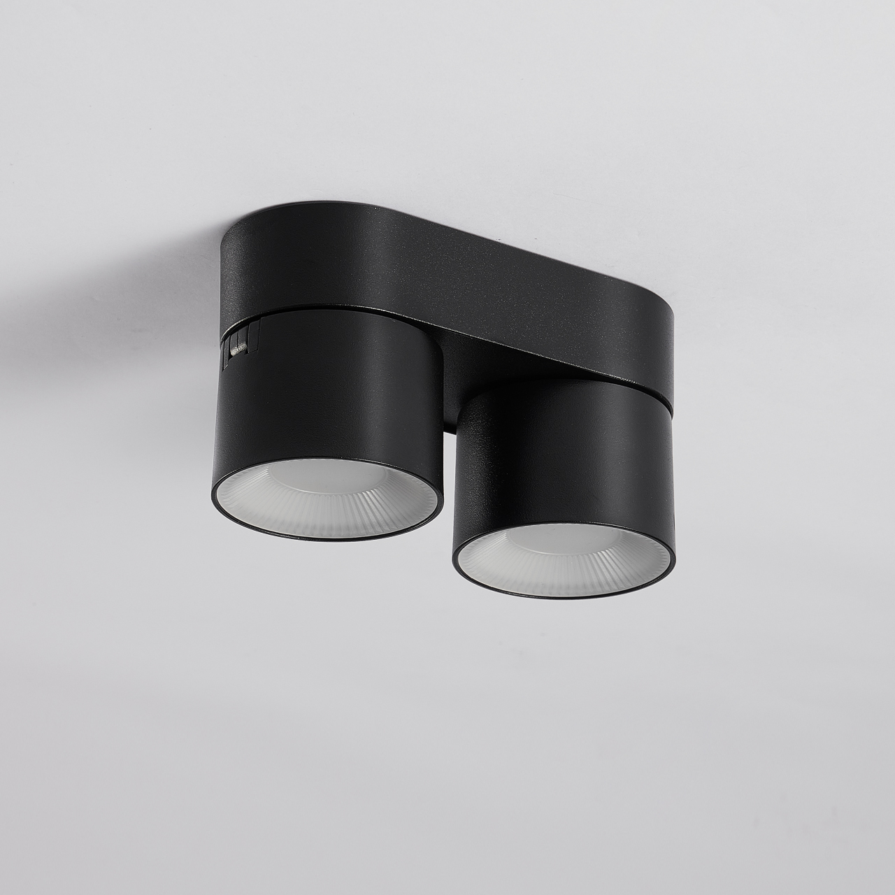 Surface Mounted Downlight, 1-4 Heads Available, 360° Rotatable Adjustable Angle Ceiling Light