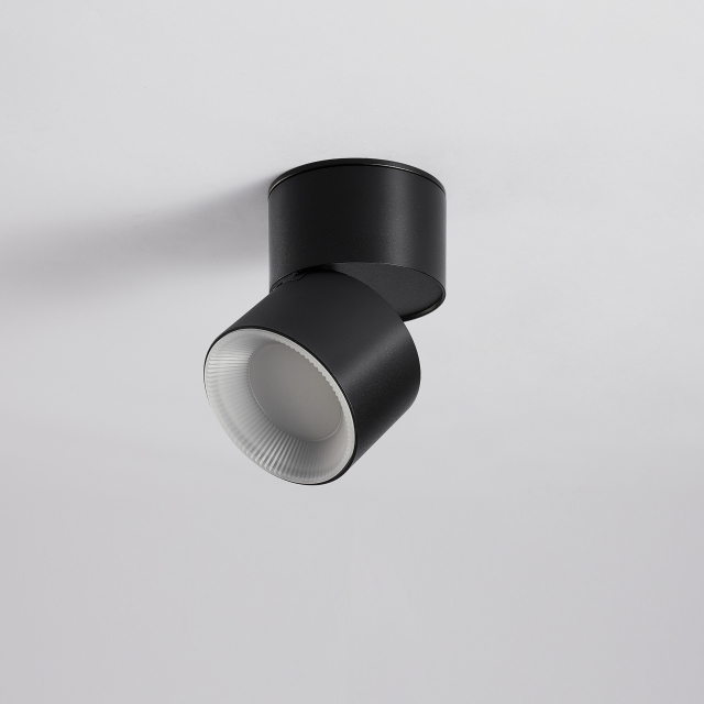 Surface Mounted Downlight, 1-4 Heads Available, 360° Rotatable Adjustable Angle Ceiling Light