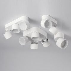 Surface Mounted Downlight, 1-4 Heads Available, 360° Rotatable Adjustable Angle Ceiling Light