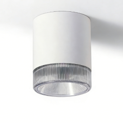 Lens Version COB Surface Mounted Spotlight Multiple Sizes Available