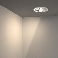 Recessed Asymmetric Wall Washer LED Downlight