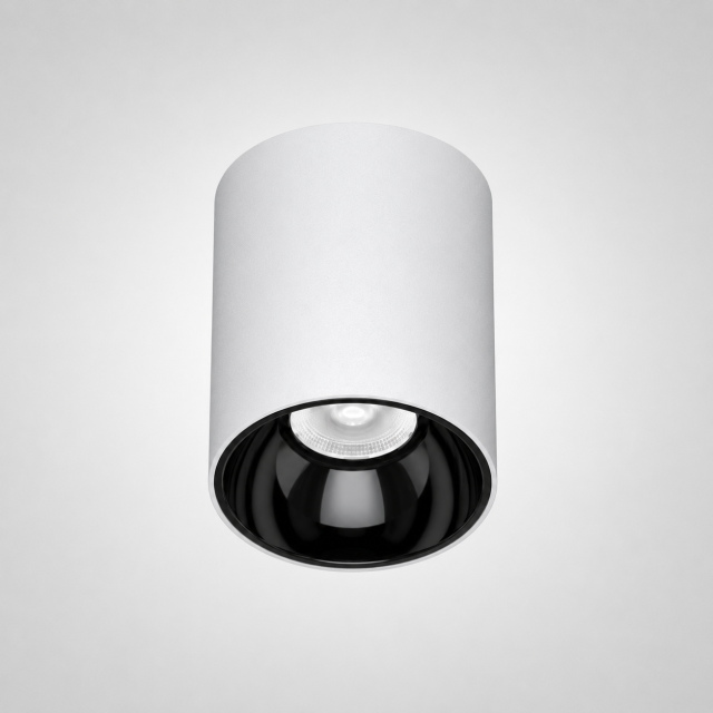 Waterproof Round Surface-Mounted Downlight