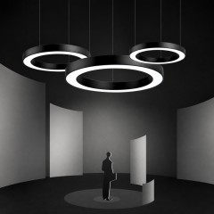 Circular LED Ring Pendant Light