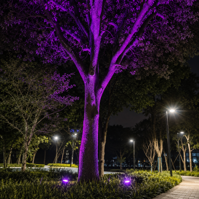 LED Landscape Spot Light | Series LS