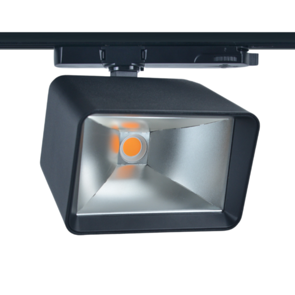 RS8060 Asymmetric LED Floodlight &mdash; product image and specifications