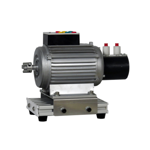 Motore didattico sincrono trifase reversibile Attrezzatura didattica Attrezzatura scolastica Macchina elettrica per addestramento