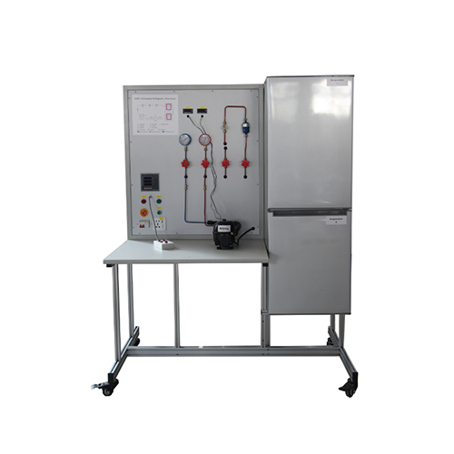 Réfrigérateur à deux portes domestique/de formation, équipement de laboratoire de réfrigération, équipement de formation professionnelle, équipement pédagogique