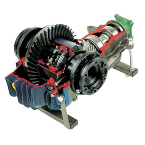 Differential Gear Teaching Model Automotive Trainer Teaching Equipment Didactic Equipment