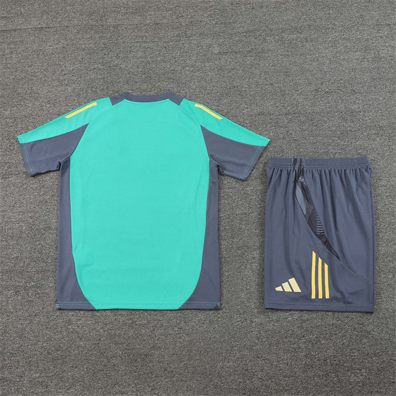 24/25 Ajax Green Summer Training Short Sleeve Suit Adult Size