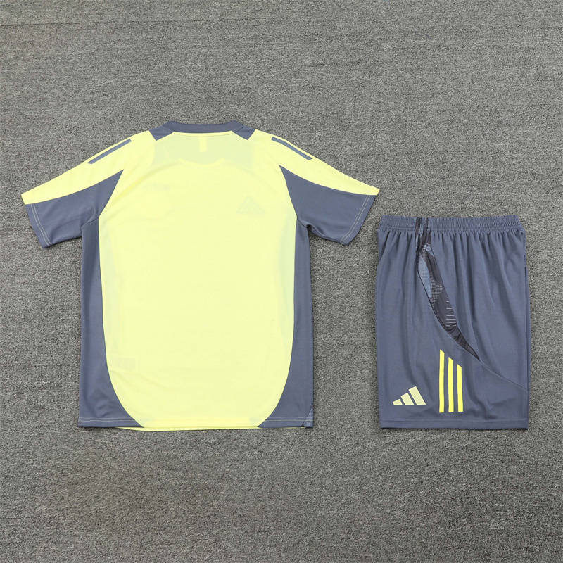 24/25 Ajax Light Yellow Summer Training Short Sleeve Suit Adult Size
