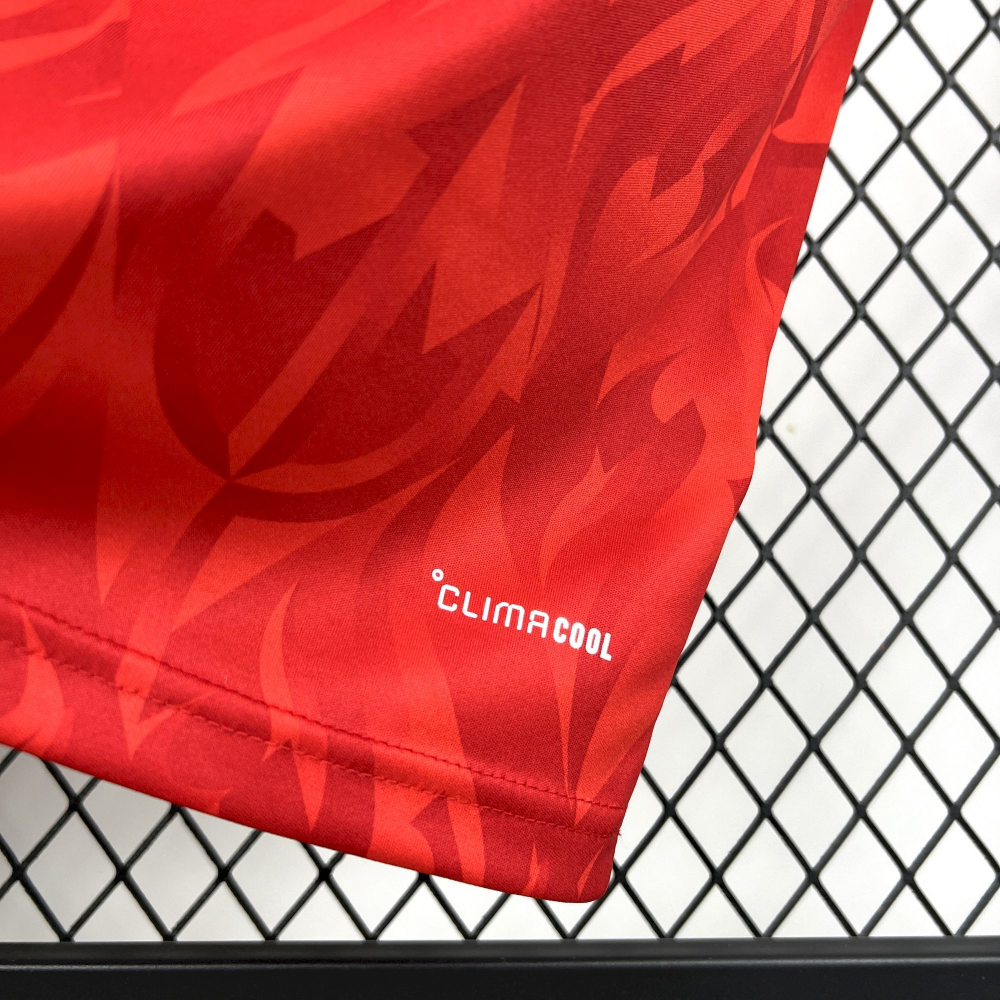 2026 Belgium World cup Home Football jersey Fan edition 1:1  China Quality