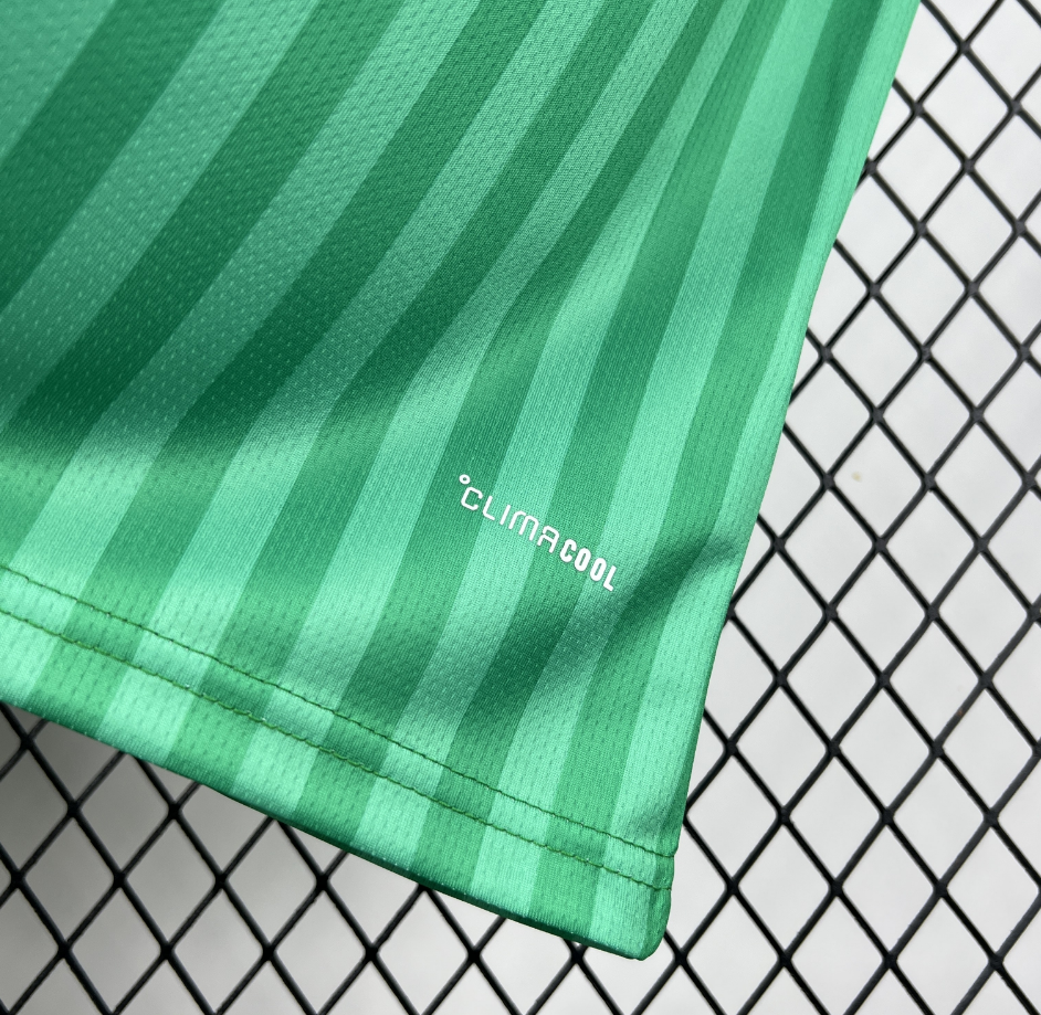 2026 World cup Algeria Away Football jersey Fan edition 1:1  China Quality