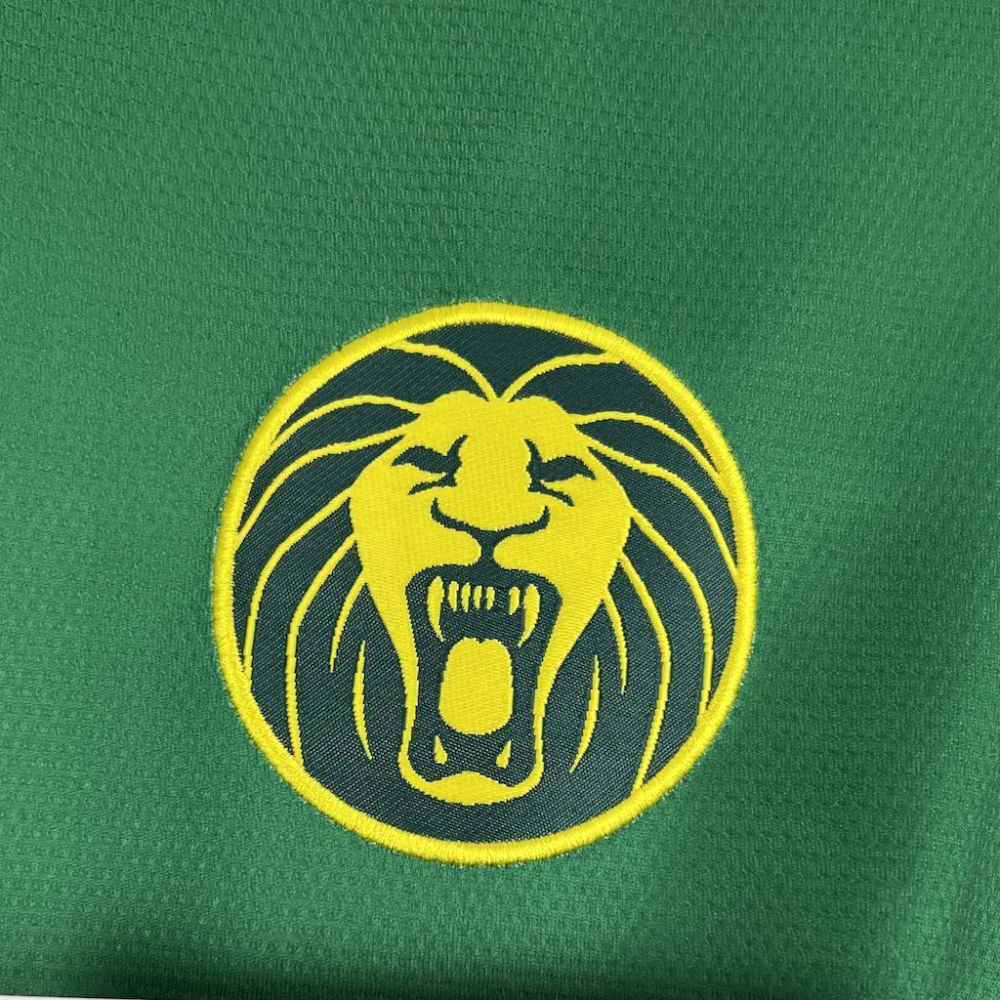 2025-2026 Cameroon Home Football jersey Fan edition 1:1  China Quality