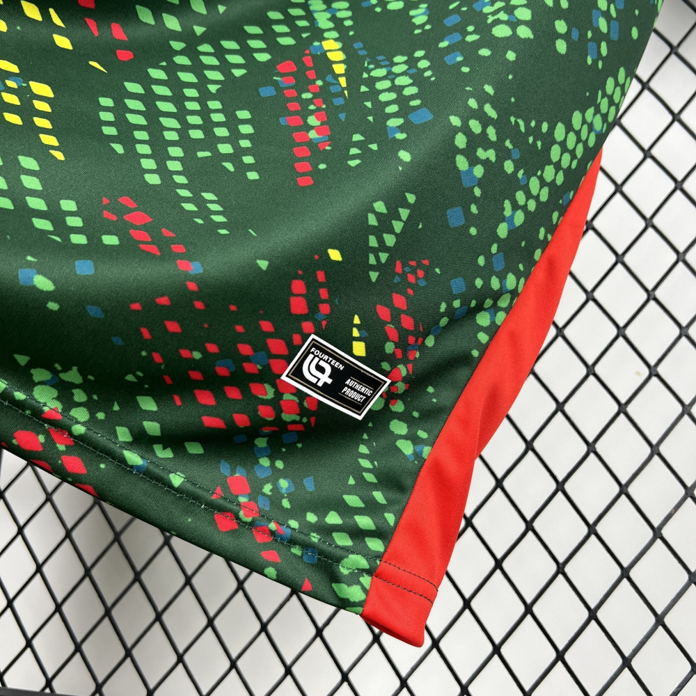 2026 World Cup Cameroon Home Football jersey Fan edition 1:1  China Quality