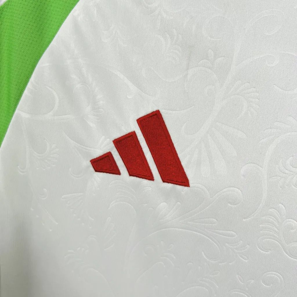 2024-2025 Algeria Home Football jersey Fan edition 1:1  China Quality