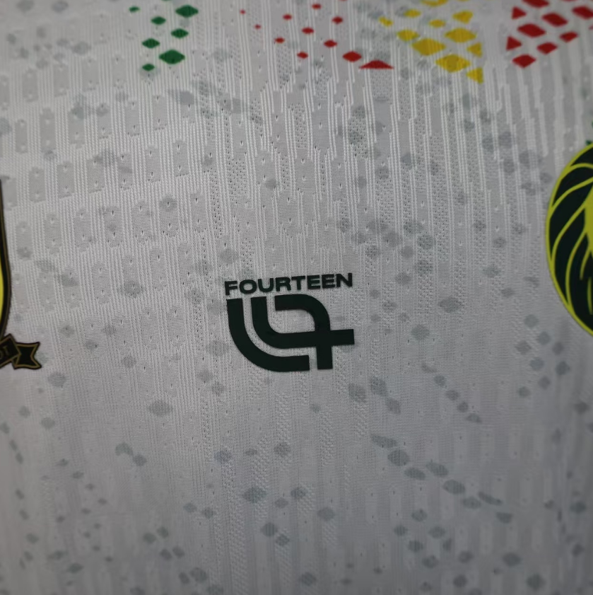 2026 World Cup Cameroon Away Football jersey Player edition 1:1  China Quality