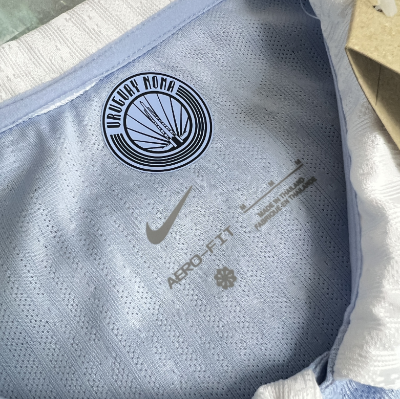 2026 Uruguay World cup Home Football jersey Player edition 1:1  China Quality