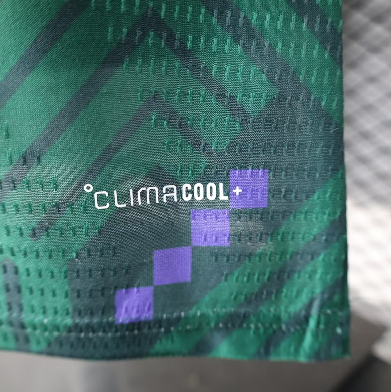 2026 Saudi World cup Home Football jersey Player edition 1:1  China Quality