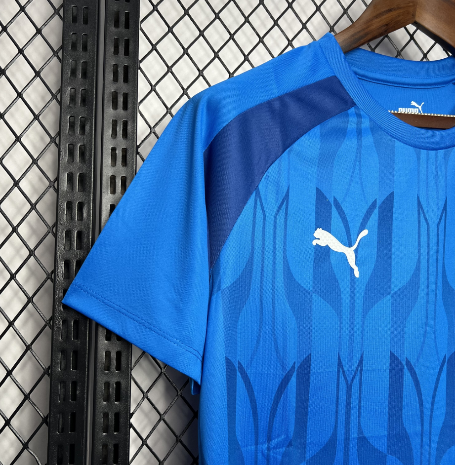 2025-2026 Palmeiras Club Mens Blue Pre-Match Training Jersey Fan version 1:1 China Quality