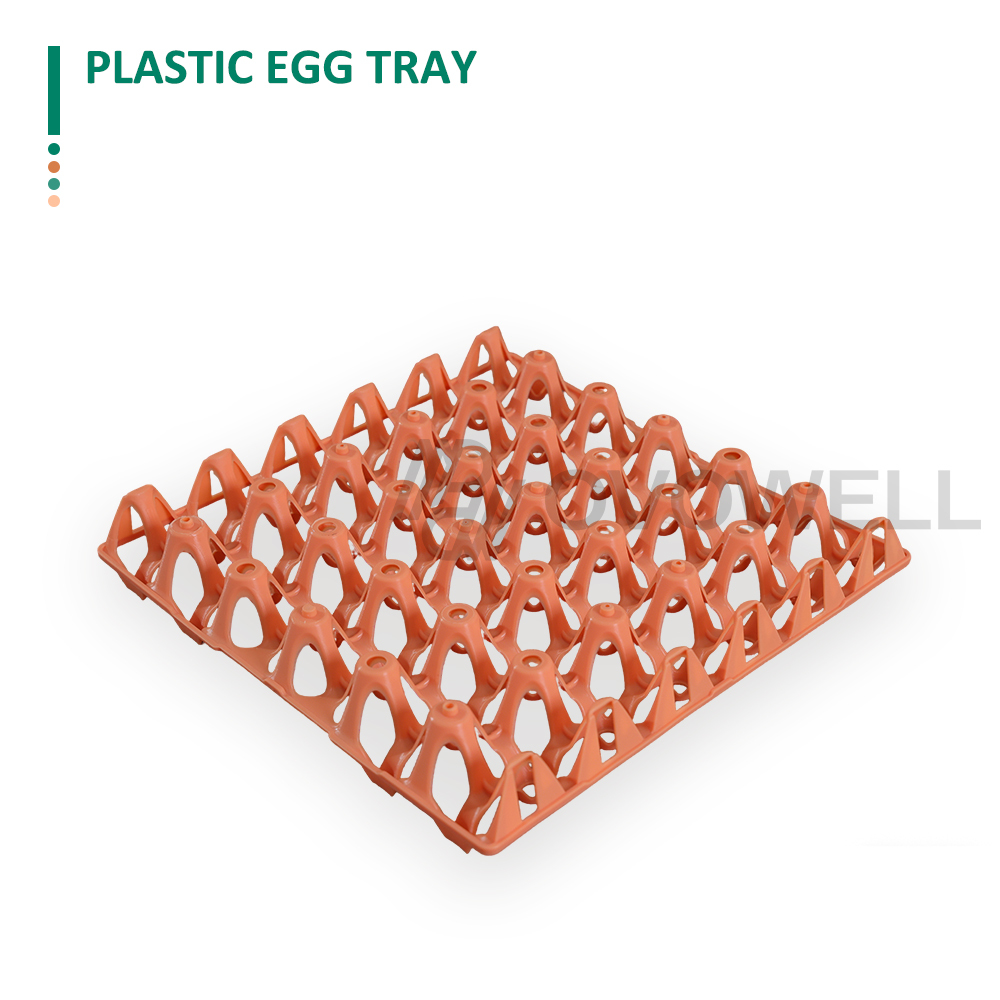 OVOWELL reusable plastic egg tray for poultry egg collection and transport