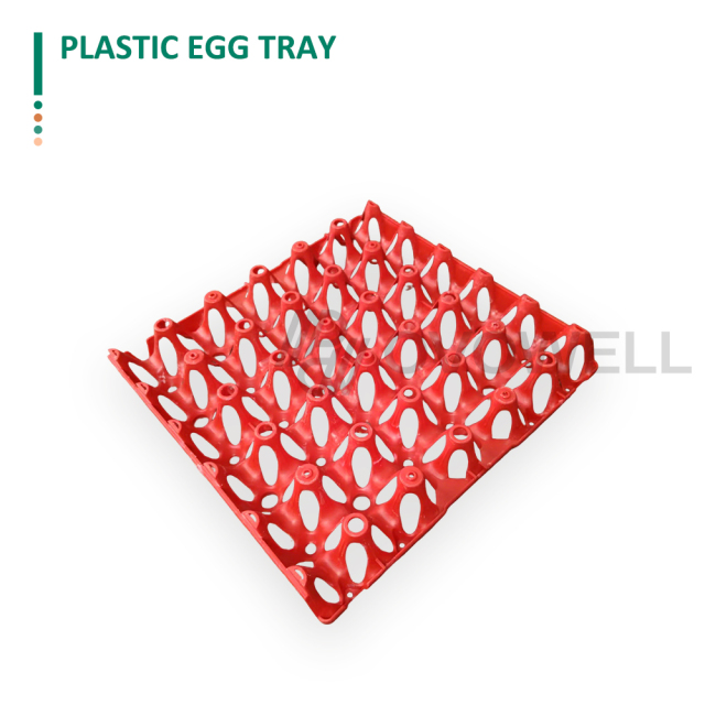 Reusable Plastic Egg Trays