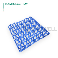 Reusable Plastic Egg Trays